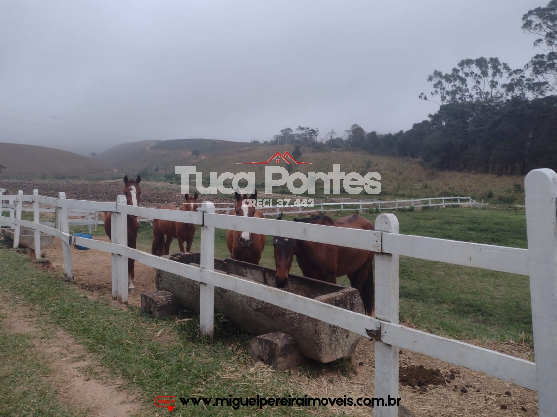 Haras com toda infraestrutura - 19,36 Hectares | Código:S47