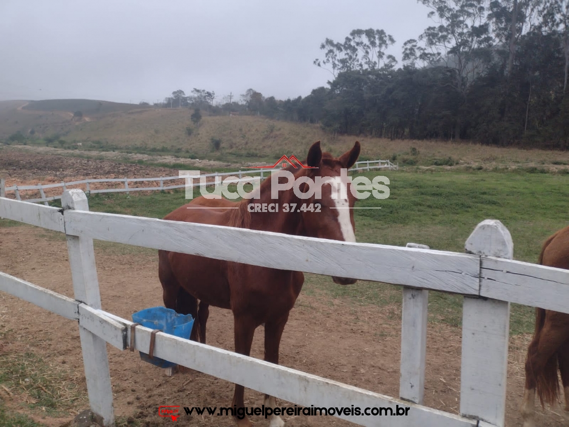 Haras com toda infraestrutura - 19,36 Hectares | Código:S47