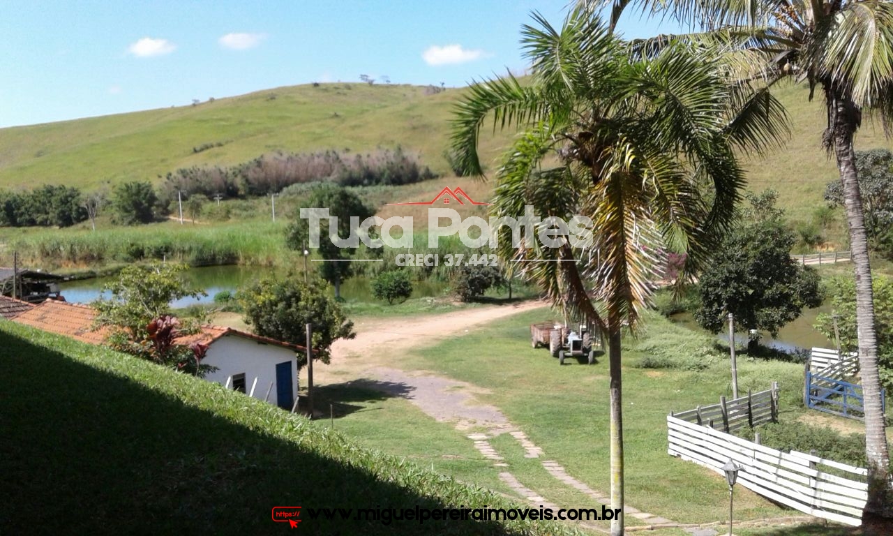 25 Alqueires ou 135 Hectares - Para gado leiteiro ou corte | Código:F307