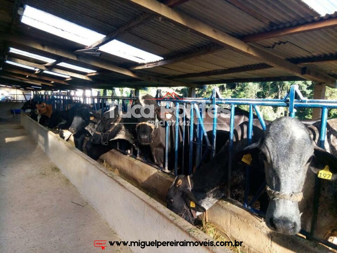 Moradia e qualidade de vida - 14,52 Hectares | Código:S5001