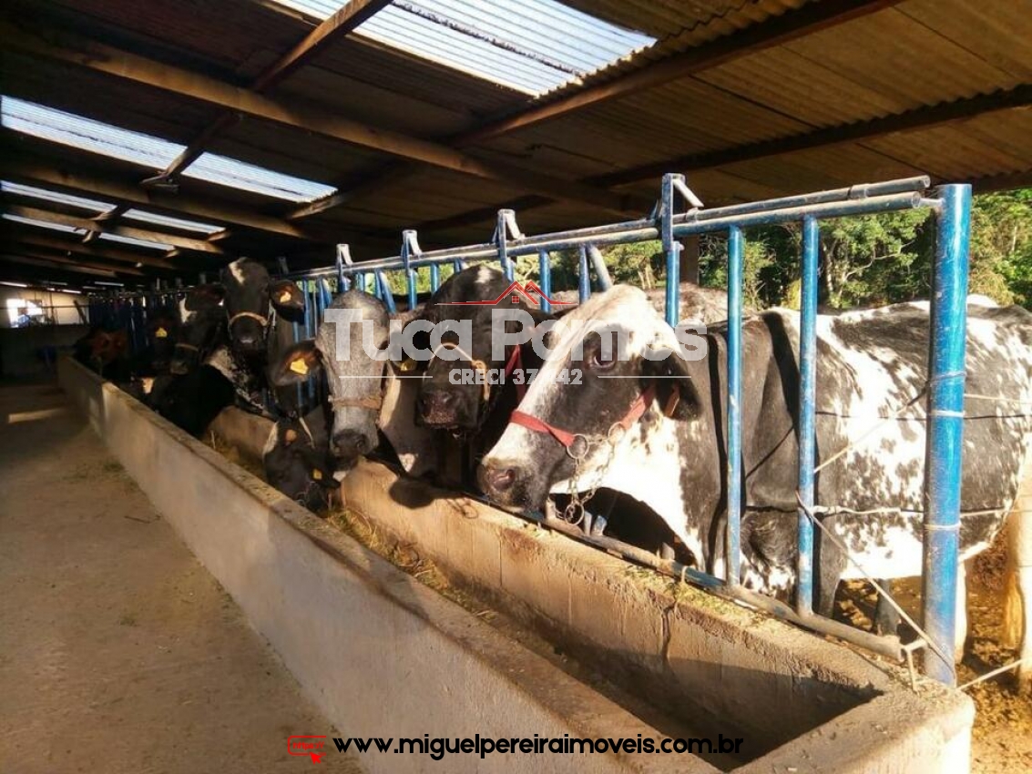 Moradia e qualidade de vida - 14,52 Hectares | Código:S5001