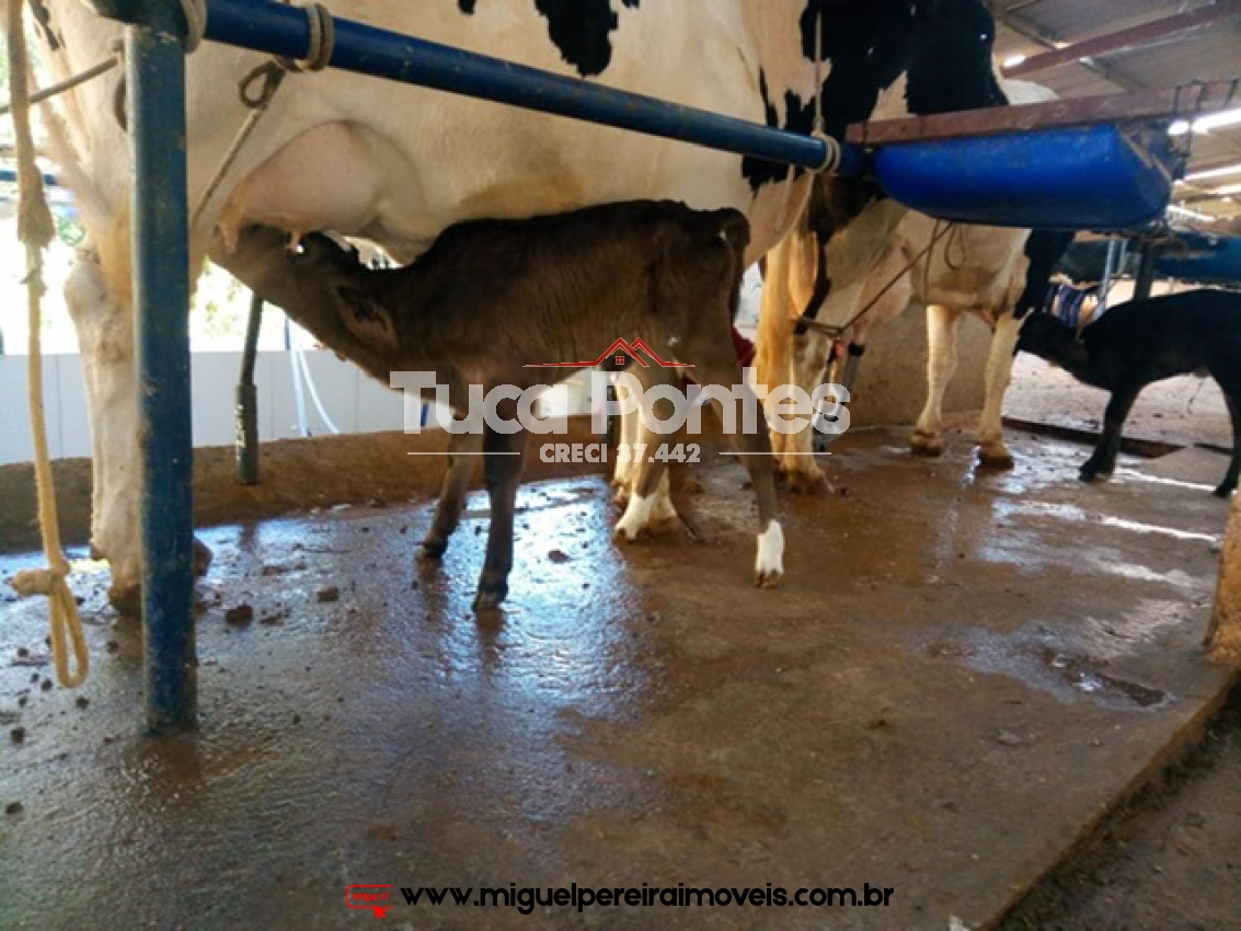 Moradia e qualidade de vida - 14,52 Hectares | Código:S5001