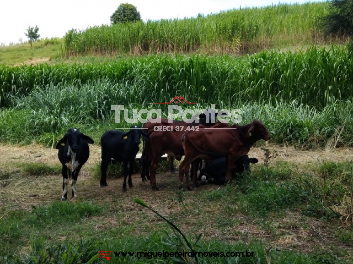 Moradia e qualidade de vida - 14,52 Hectares | Código:S5001