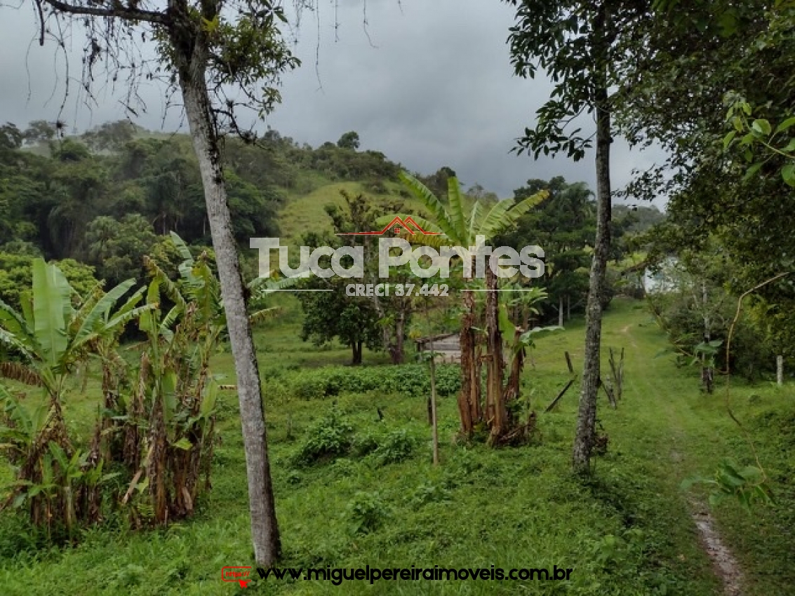 Sítio rodeado de verde - 48,4 Hectares | Código:S5000