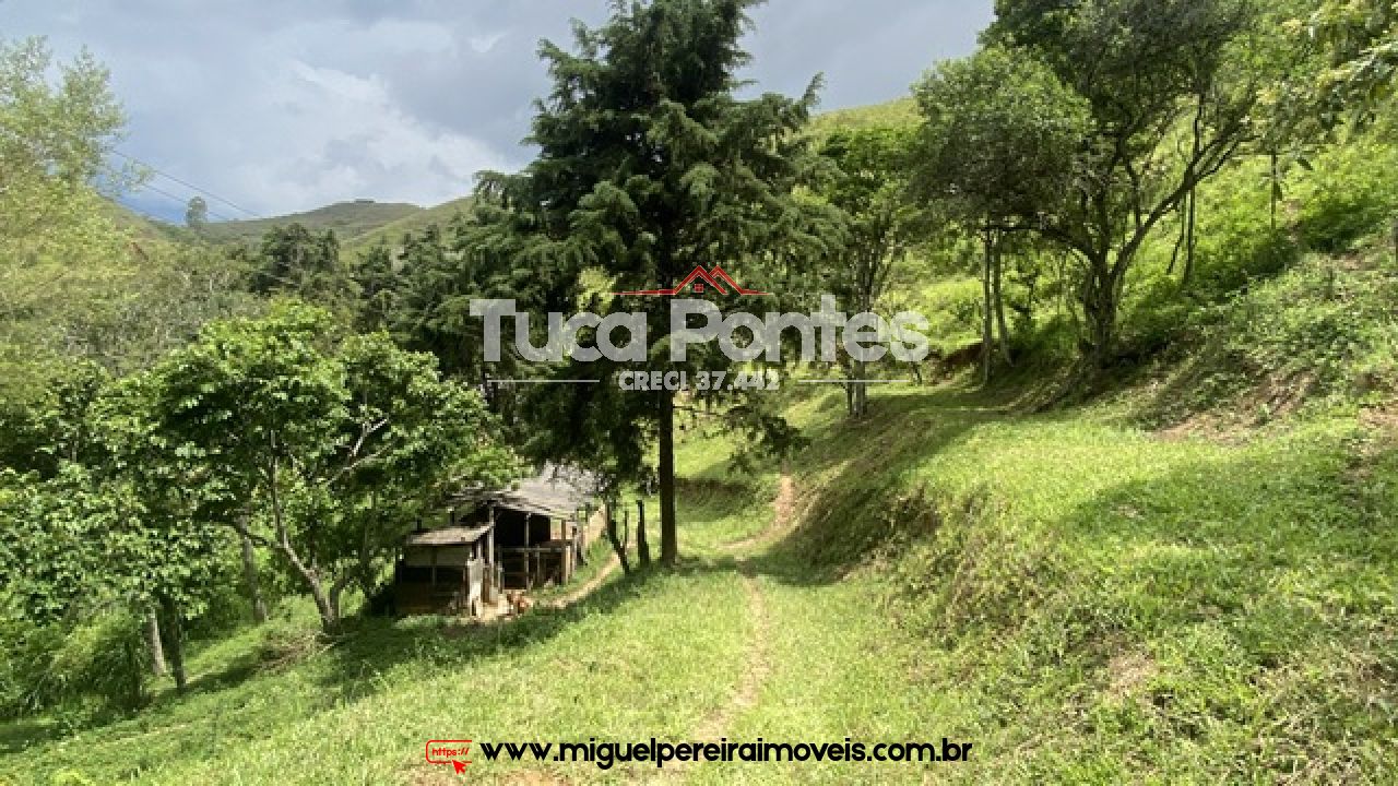 Ar puro, água de nascente e muito verde  - Simplicidade da vida do campo | Código:S11