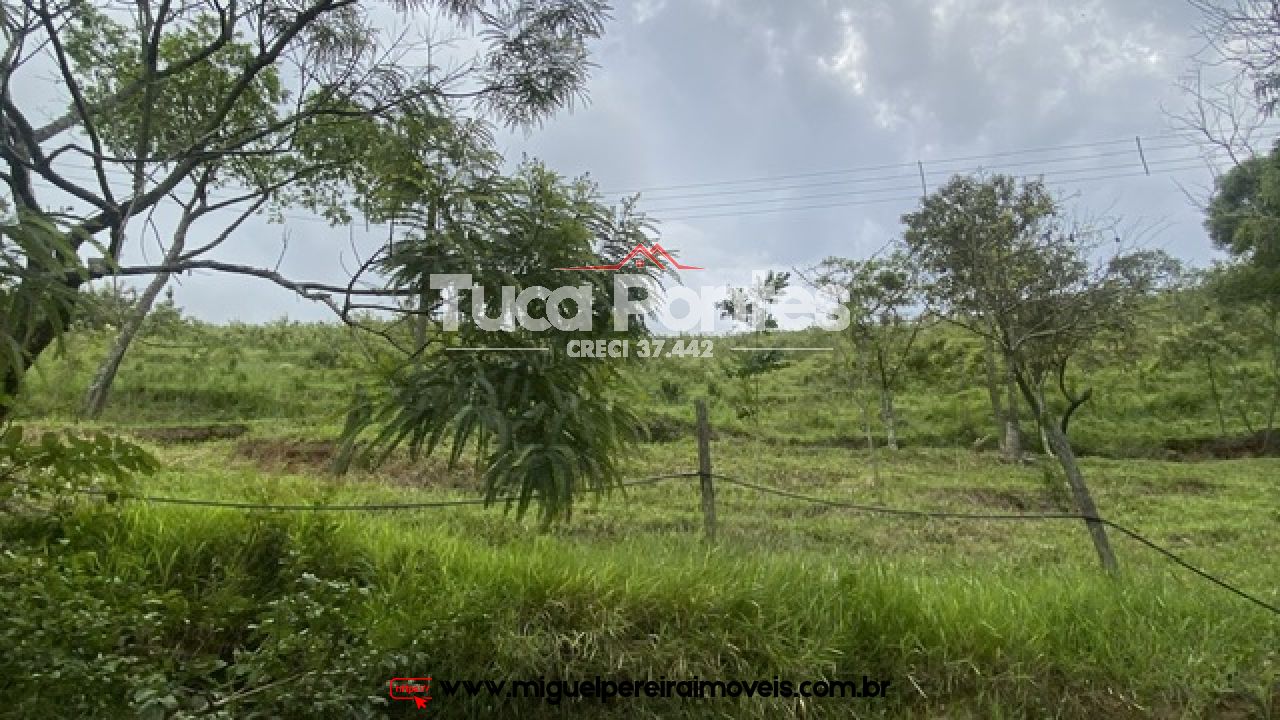 Ar puro, água de nascente e muito verde  - Simplicidade da vida do campo | Código:S11