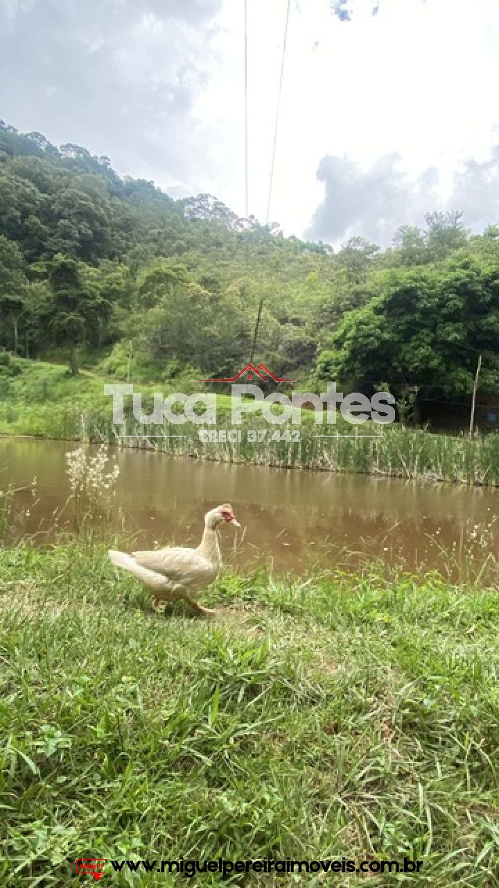 Ar puro, água de nascente e muito verde  - Simplicidade da vida do campo | Código:S11