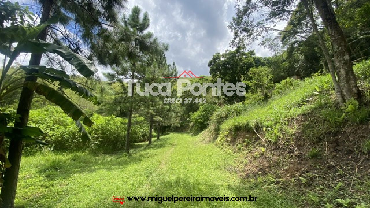 Ar puro, água de nascente e muito verde  - Simplicidade da vida do campo | Código:S11