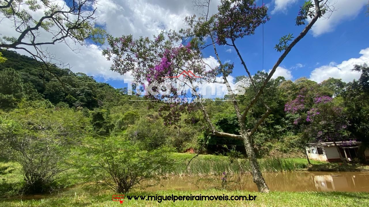 Ar puro, água de nascente e muito verde  - Simplicidade da vida do campo | Código:S11