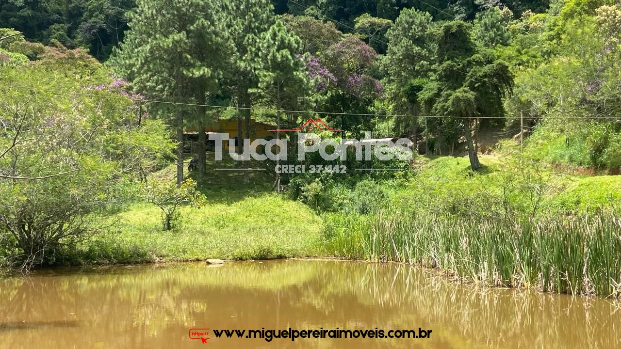 Ar puro, água de nascente e muito verde  - Simplicidade da vida do campo | Código:S11