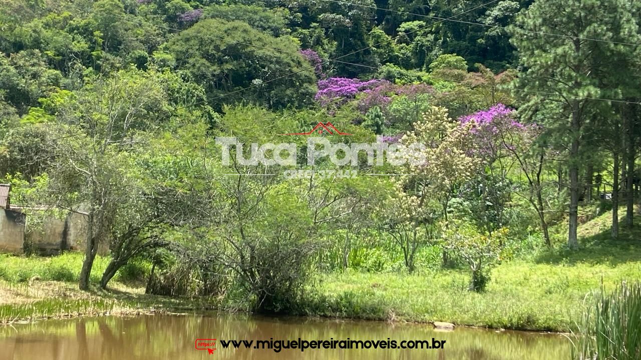 Ar puro, água de nascente e muito verde  - Simplicidade da vida do campo | Código:S11