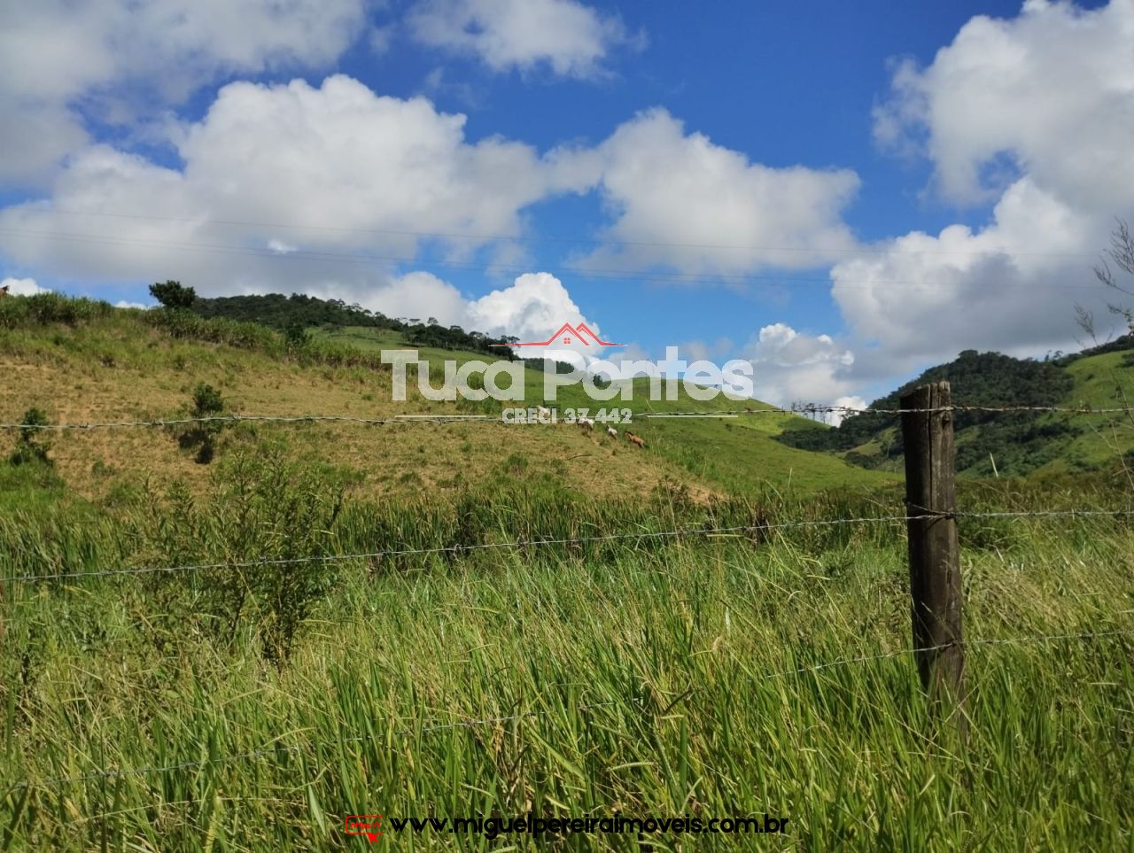 Imponente fazenda  - Média de 260 Hectares | Código:F10