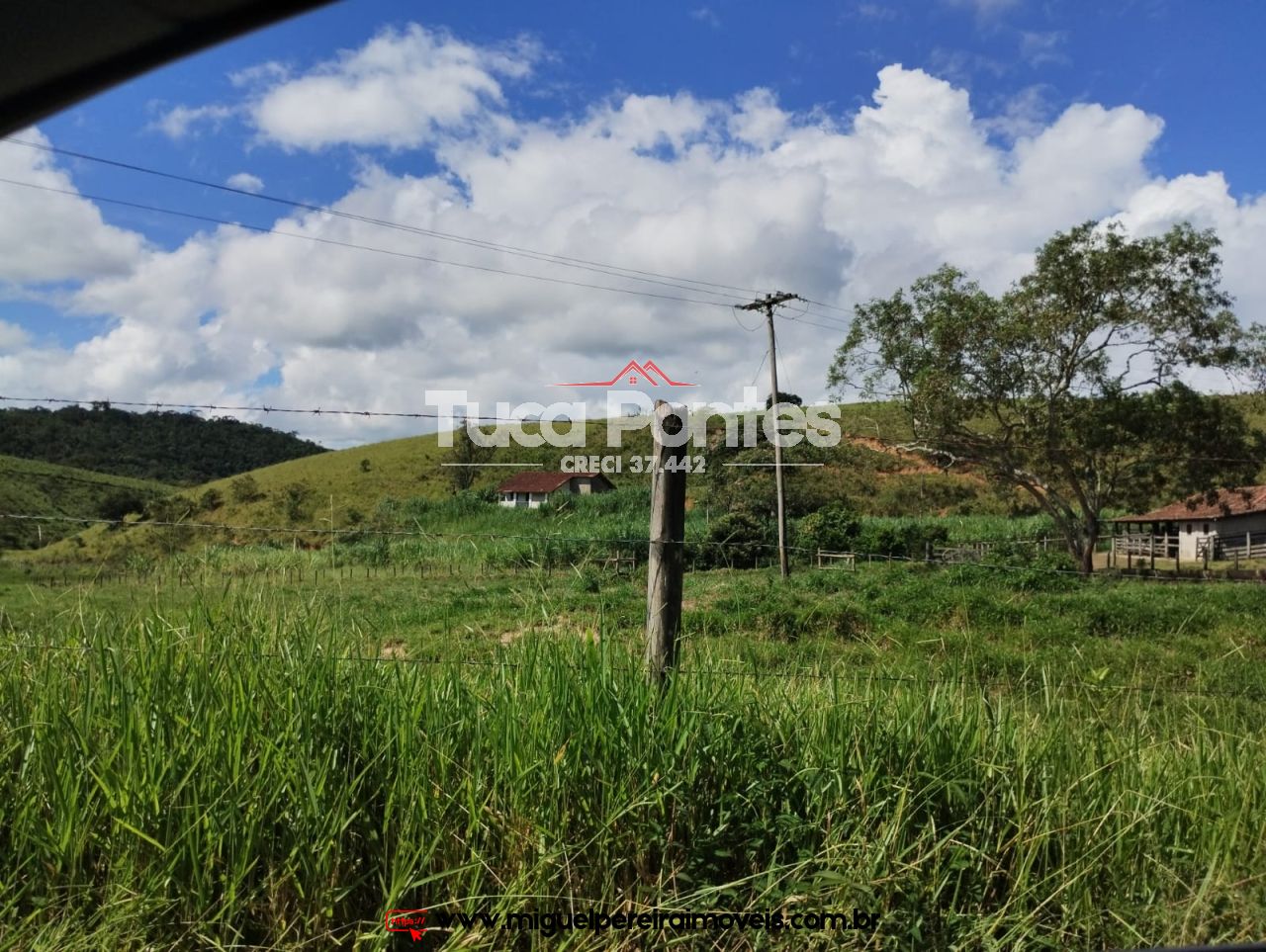 Imponente fazenda  - Média de 260 Hectares | Código:F10