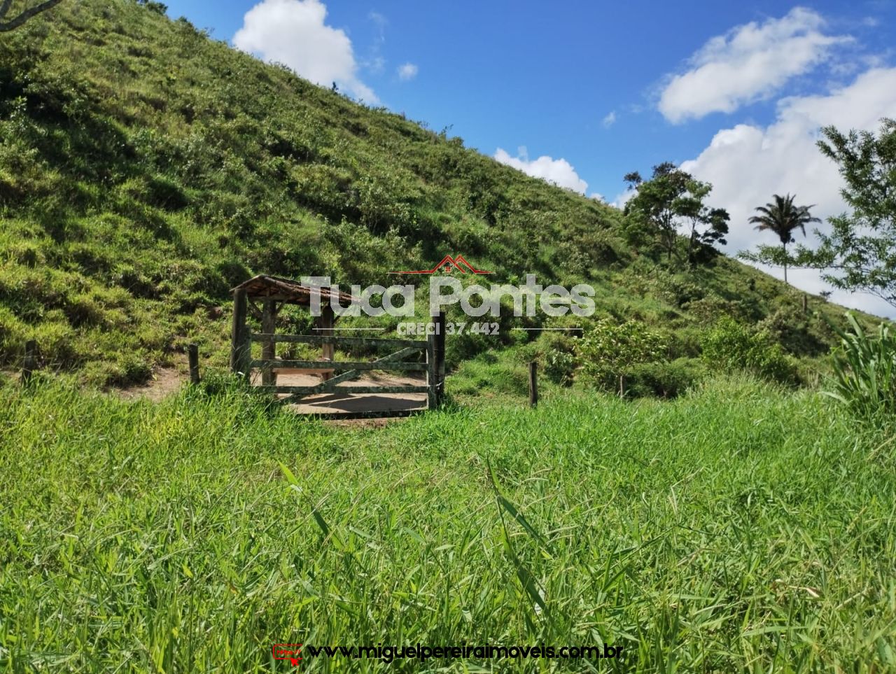 Imponente fazenda  - Média de 260 Hectares | Código:F10