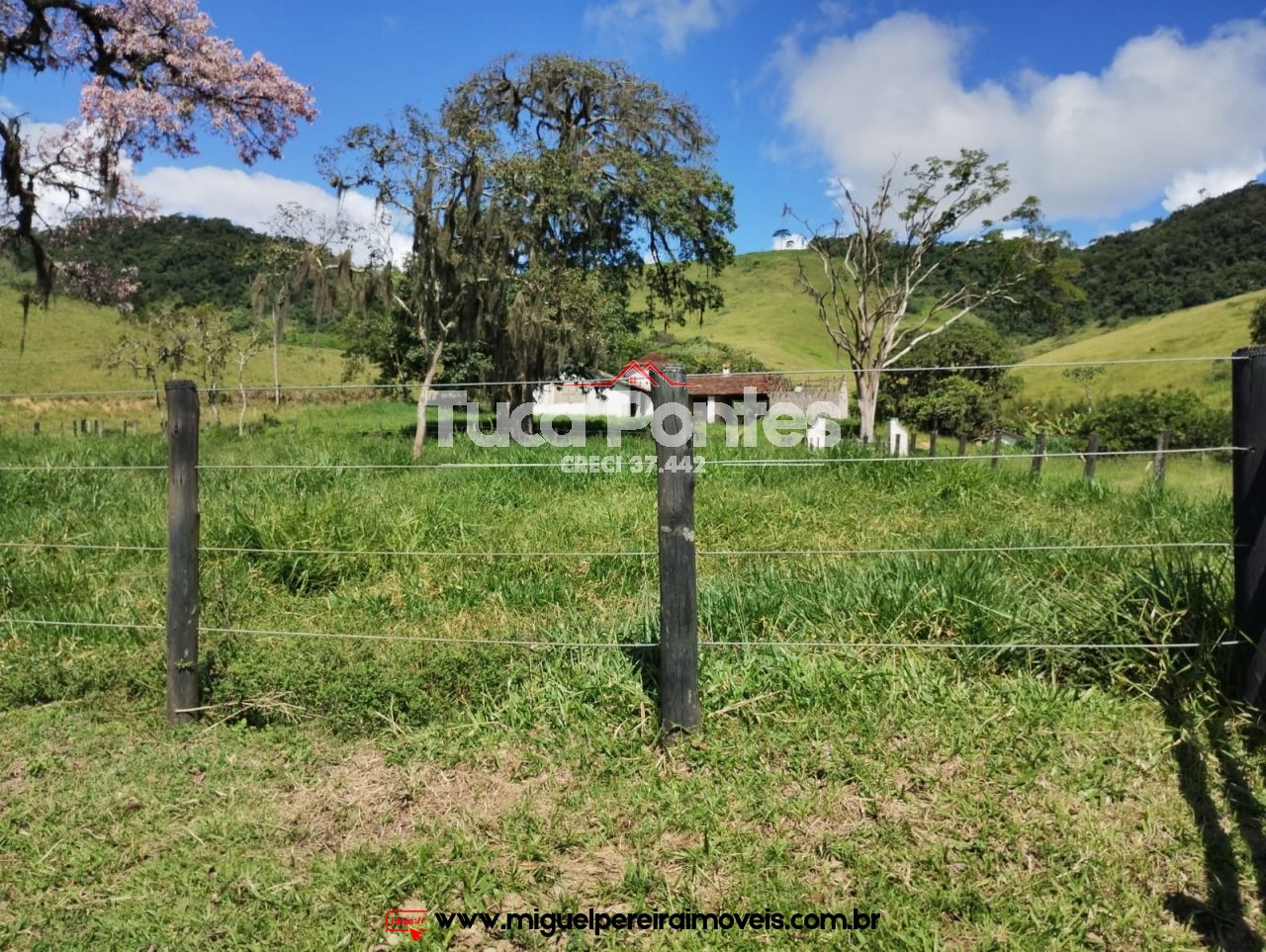 Imponente fazenda  - Média de 260 Hectares | Código:F10