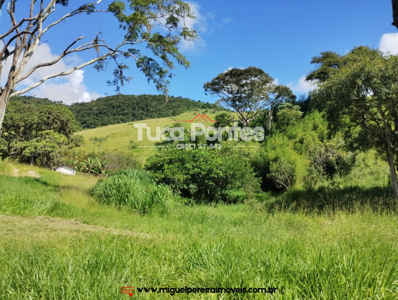 Imponente fazenda  - Média de 260 Hectares | Código:F10