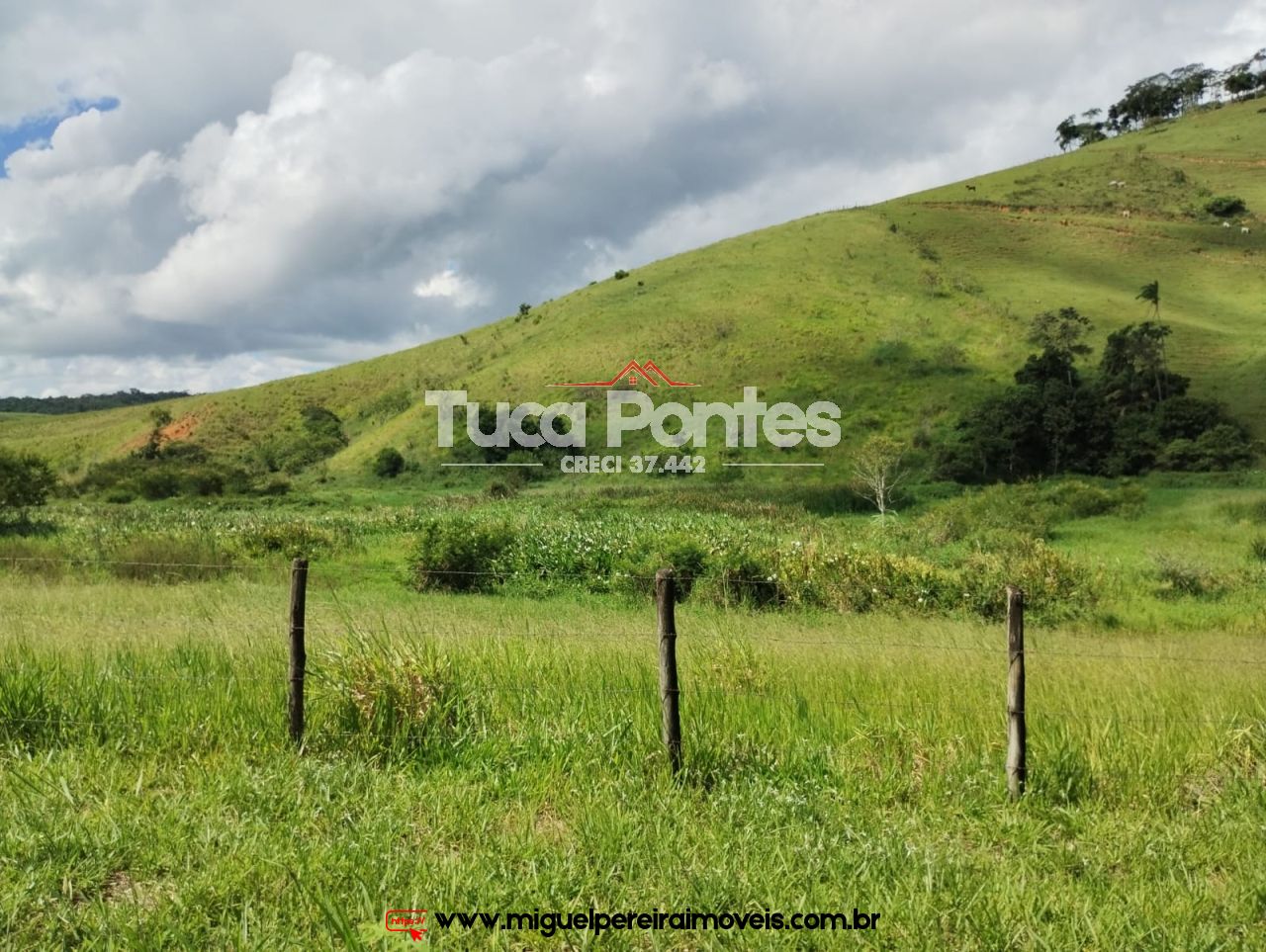 Imponente fazenda  - Média de 260 Hectares | Código:F10