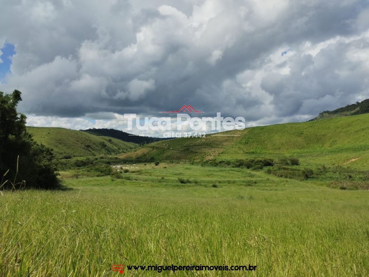 Imponente fazenda  - Média de 260 Hectares | Código:F10