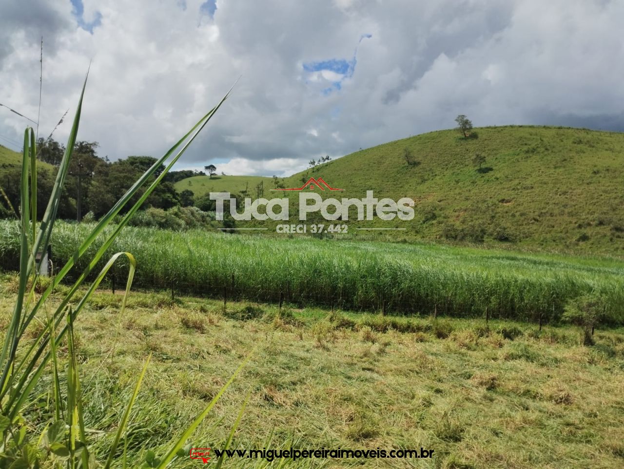 Imponente fazenda  - Média de 260 Hectares | Código:F10