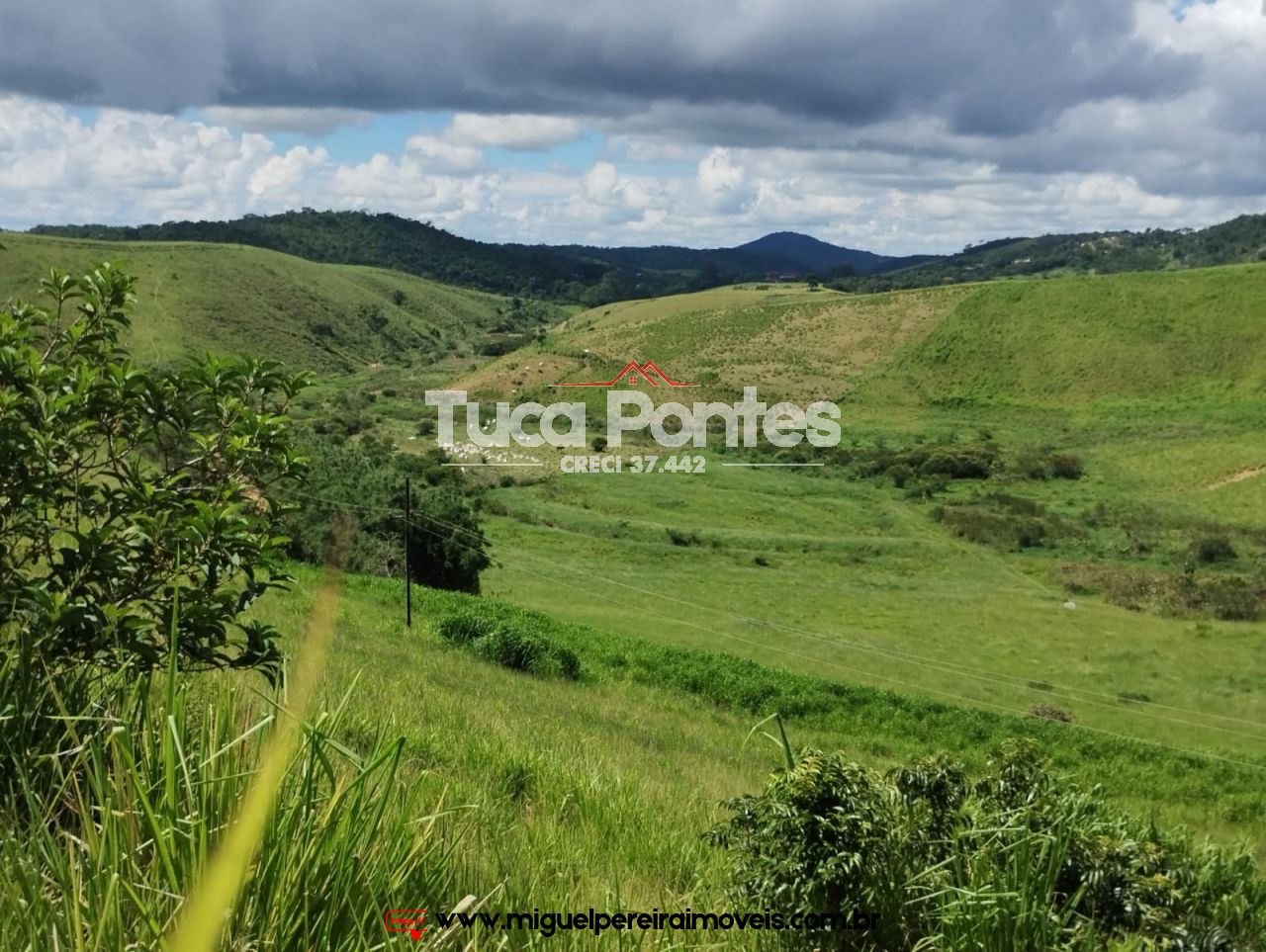 Imponente fazenda  - Média de 260 Hectares | Código:F10