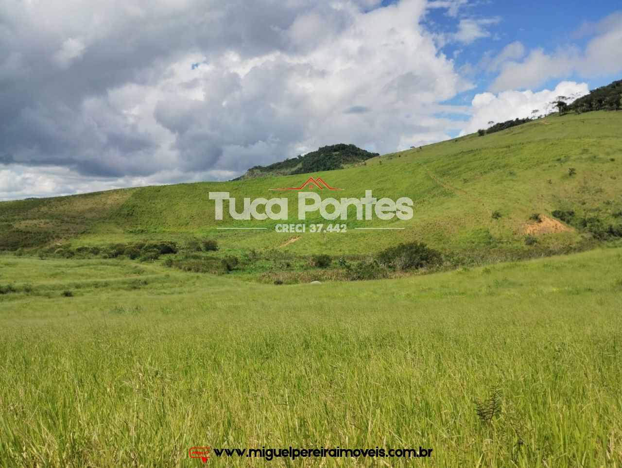 Imponente fazenda  - Média de 260 Hectares | Código:F10