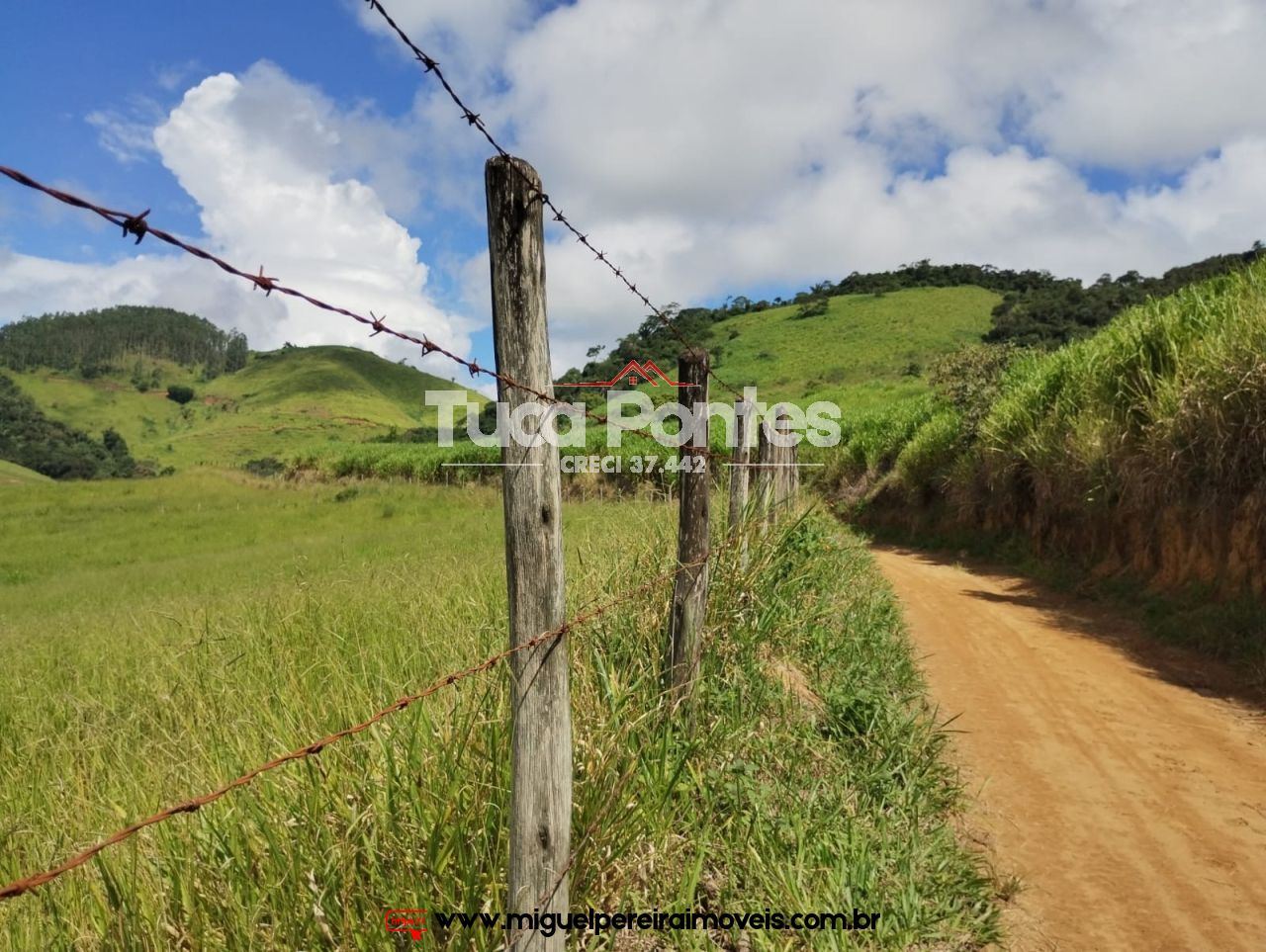 Imponente fazenda  - Média de 260 Hectares | Código:F10