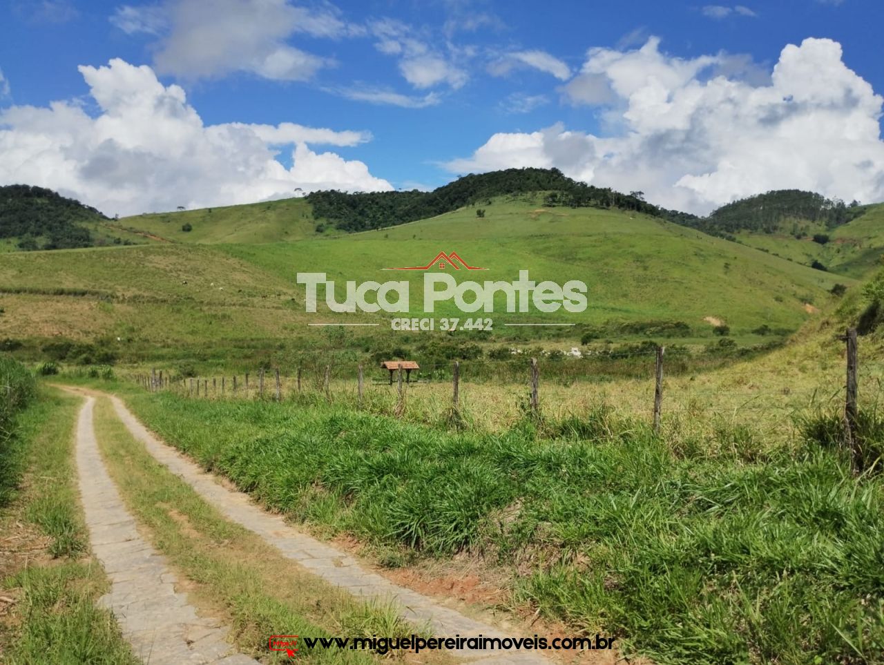 Imponente fazenda  - Média de 260 Hectares | Código:F10