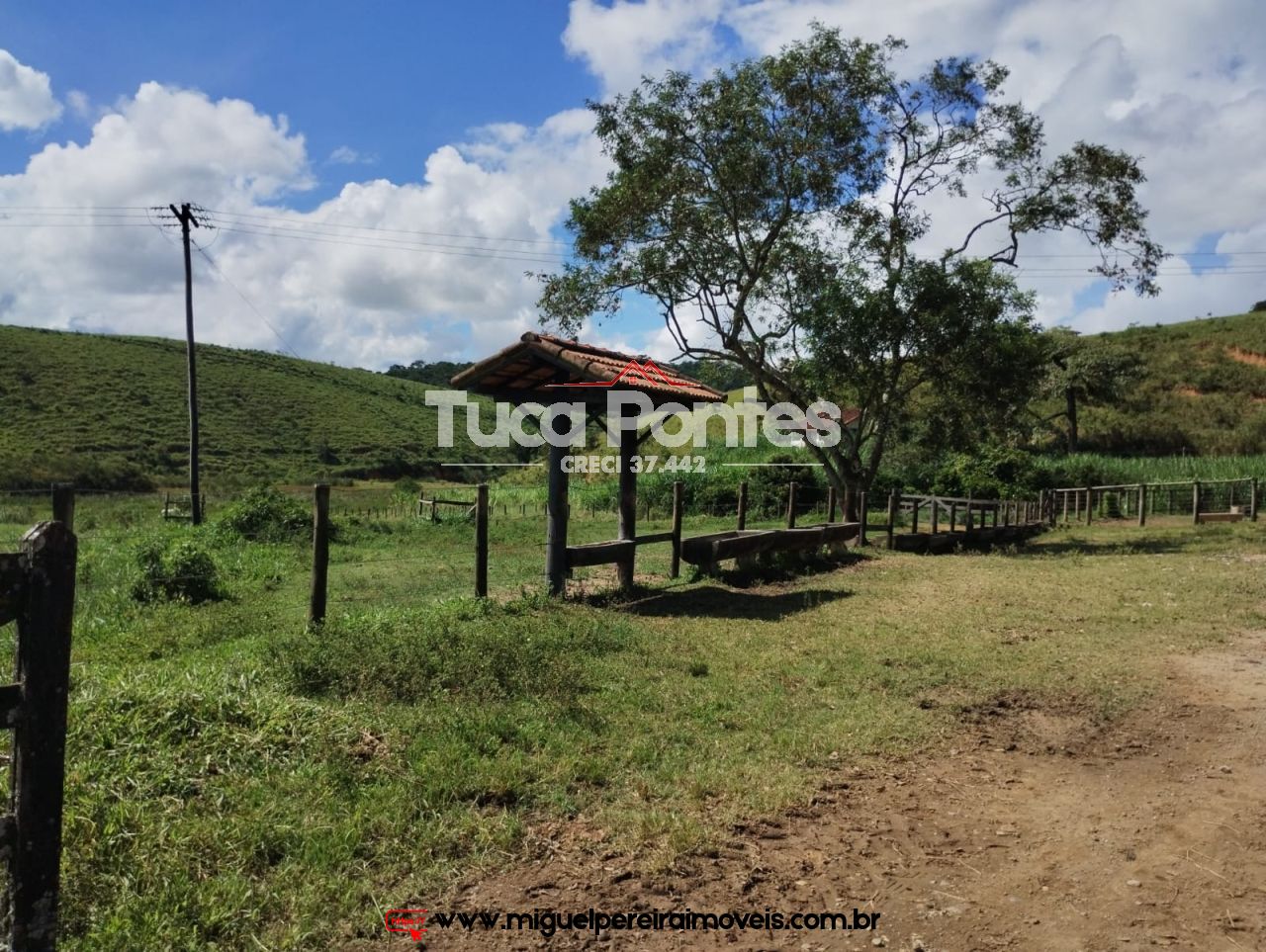 Imponente fazenda  - Média de 260 Hectares | Código:F10