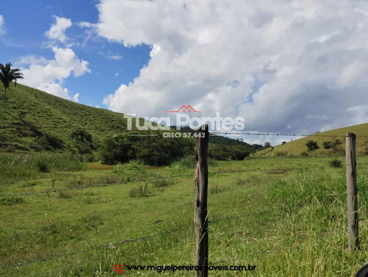 Imponente fazenda  - Média de 260 Hectares | Código:F10