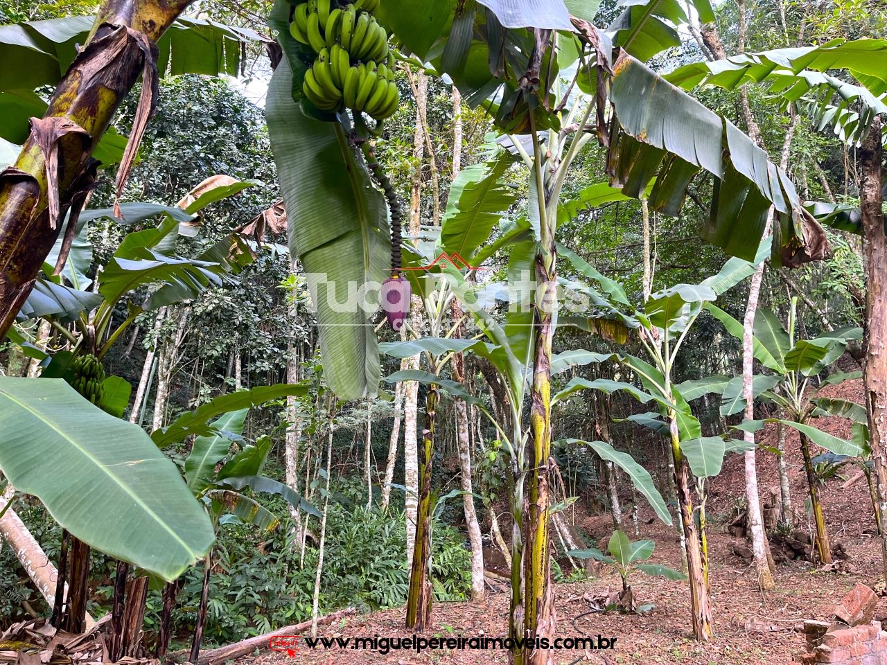 Linda Mini chácara - Área verde, ar puro e tranquilidade do interior | Código:S11