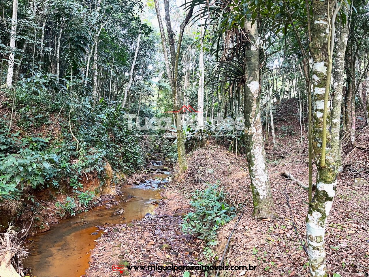 Linda Mini chácara - Área verde, ar puro e tranquilidade do interior | Código:S11