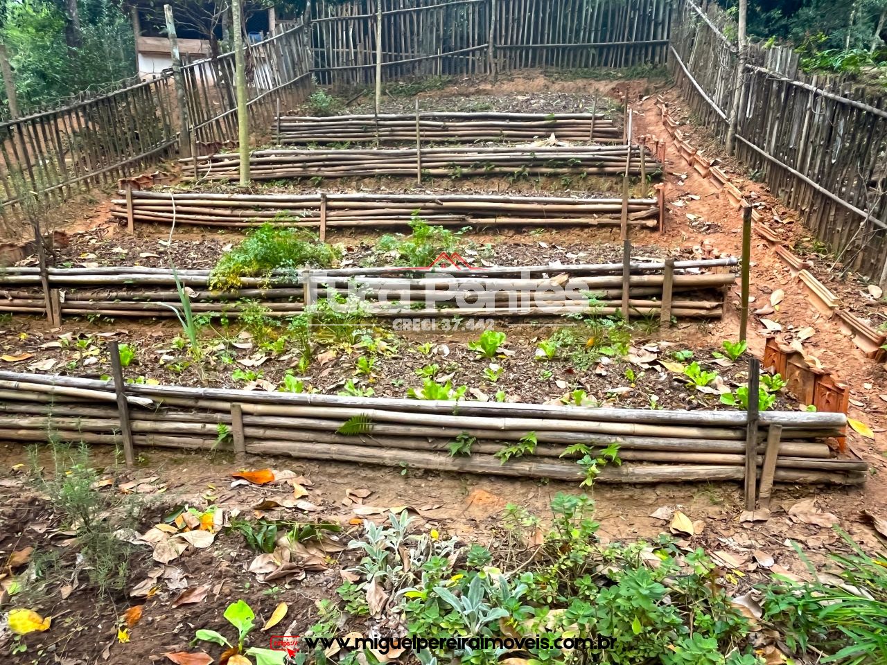 Linda Mini chácara - Área verde, ar puro e tranquilidade do interior | Código:S11