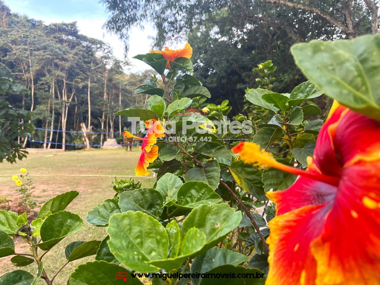 Linda Mini chácara - Área verde, ar puro e tranquilidade do interior | Código:S11