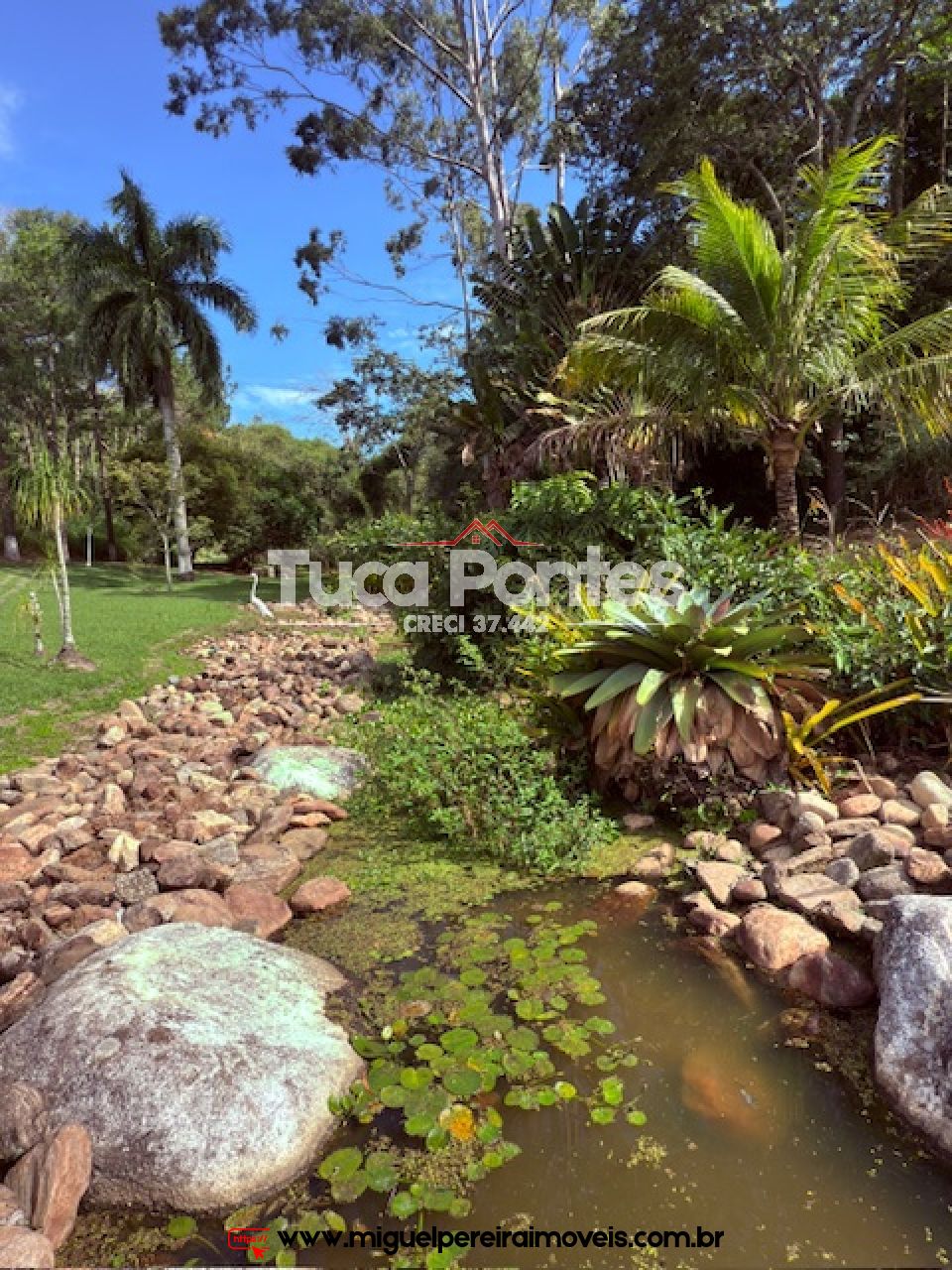Excelente infraestrutura  - 30.000m² de pura beleza  | Código:S31