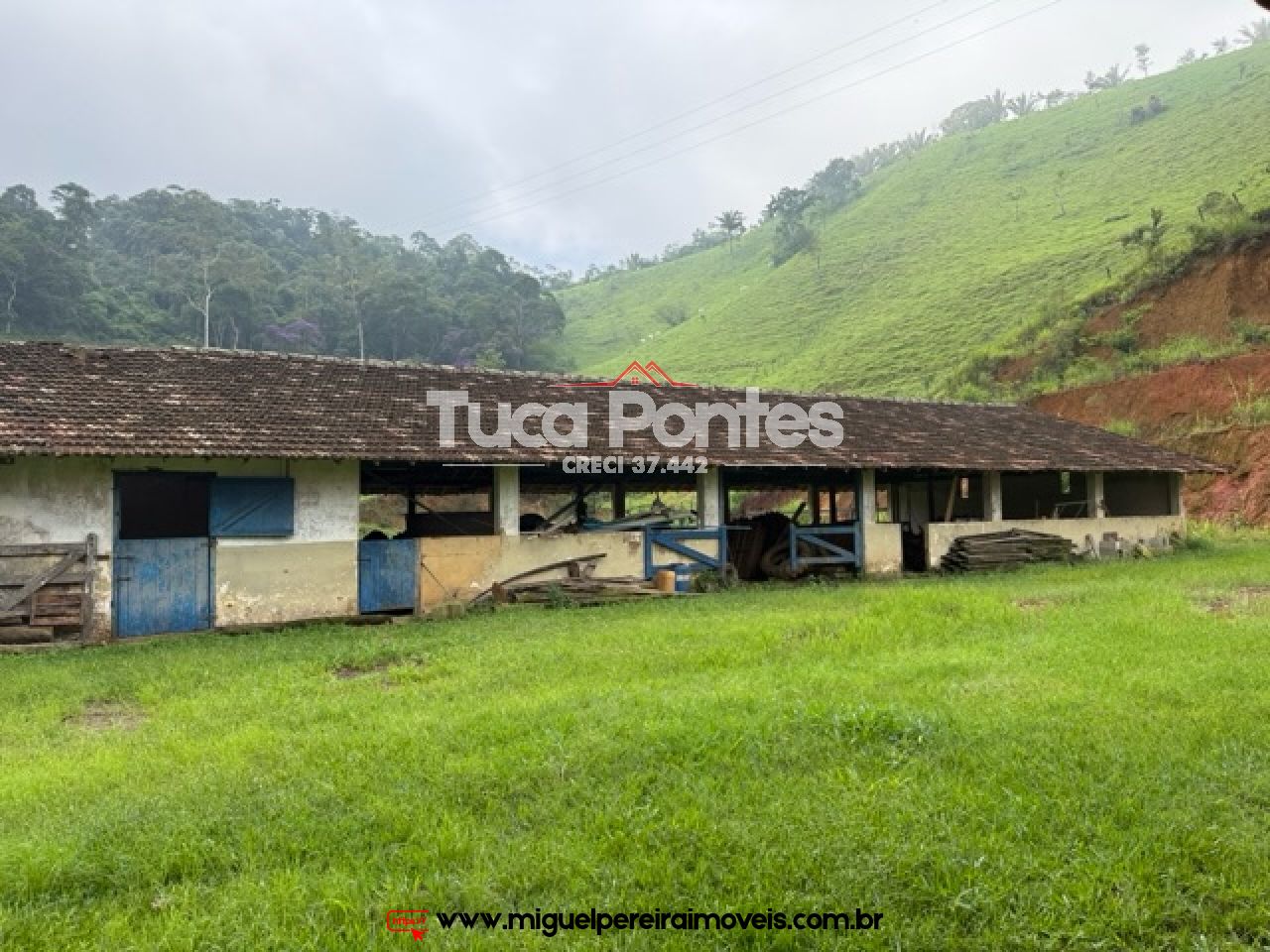 Infraestrutura para leite e engorda - Sede centenária impecável  | Código:F2