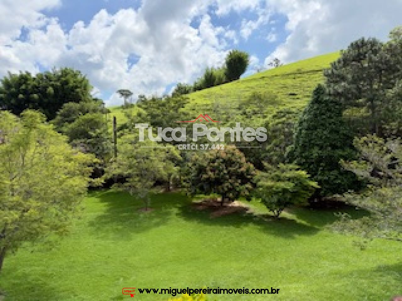 Chácara com 38.000m² - Ampla casa de fazenda - Qualidade de vida total  | Código:S99