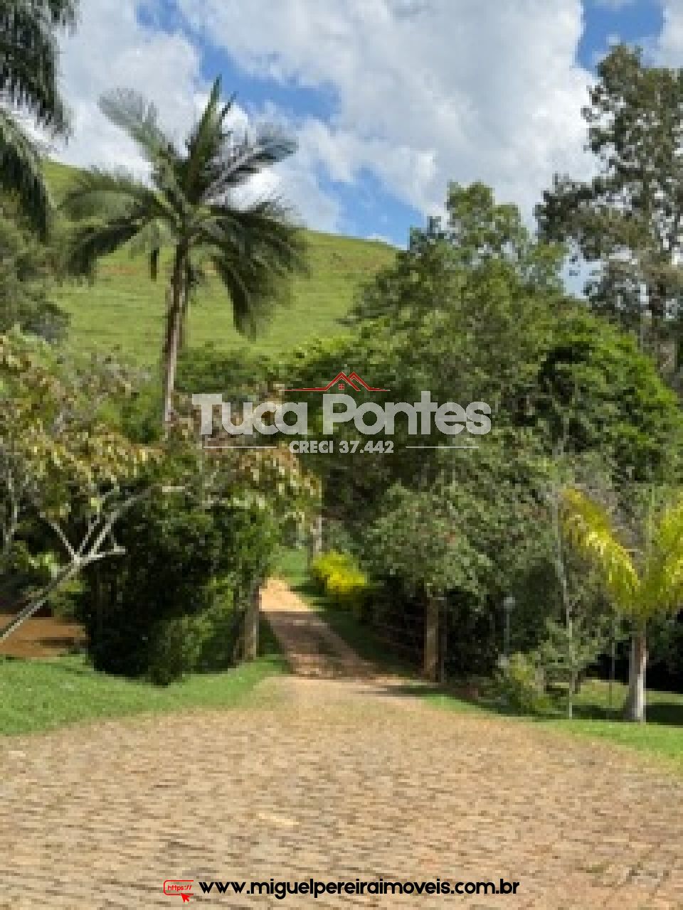 Chácara com 38.000m² - Ampla casa de fazenda - Qualidade de vida total  | Código:S99