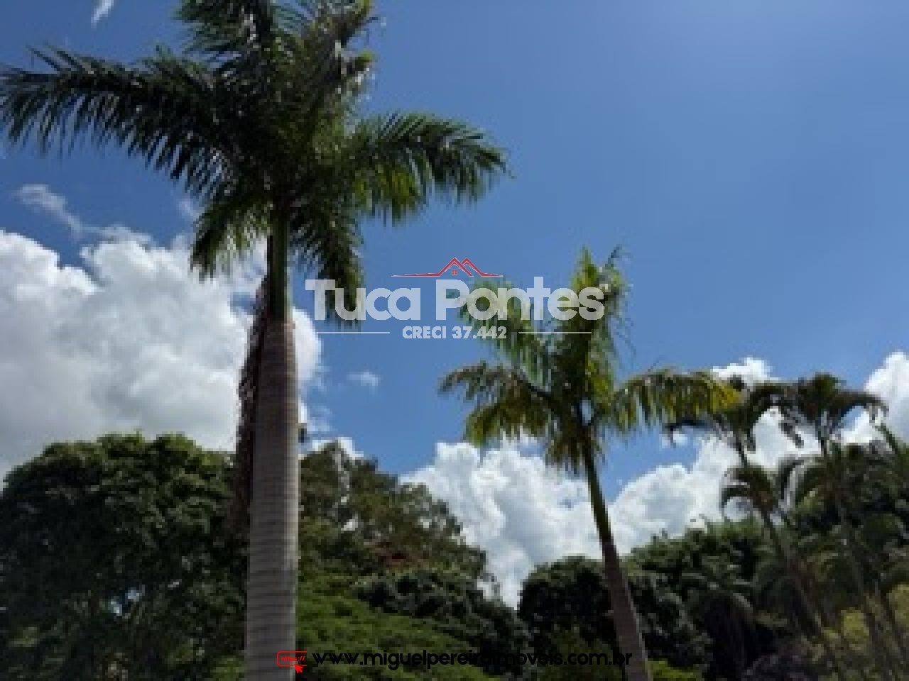 Chácara com 38.000m² - Ampla casa de fazenda - Qualidade de vida total  | Código:S99