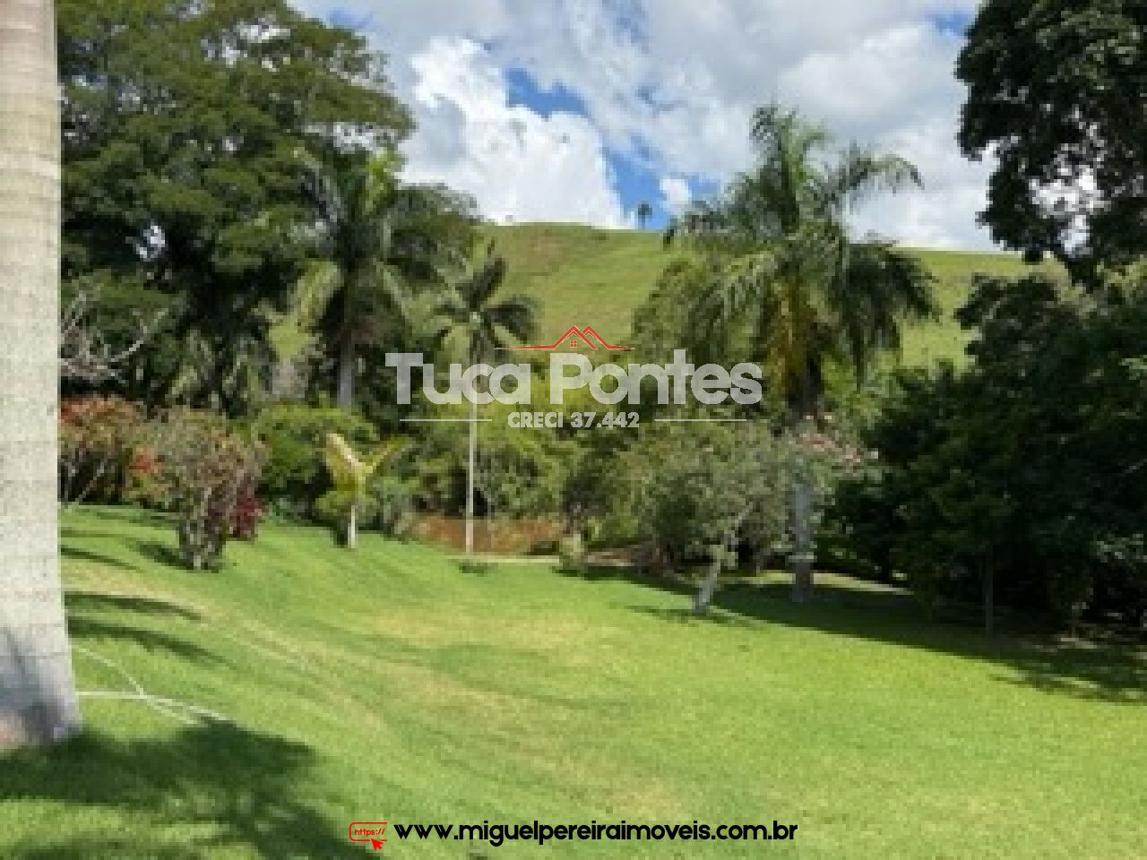 Chácara com 38.000m² - Ampla casa de fazenda - Qualidade de vida total  | Código:S99