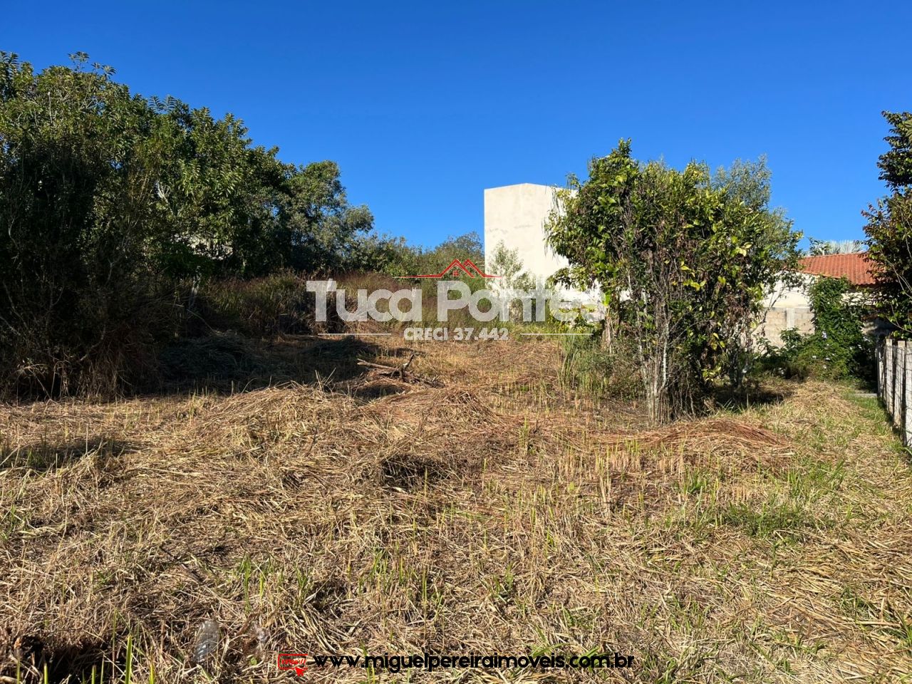 Plano e acima do nível da rua - Terreno próximo ao centro | Código:T15