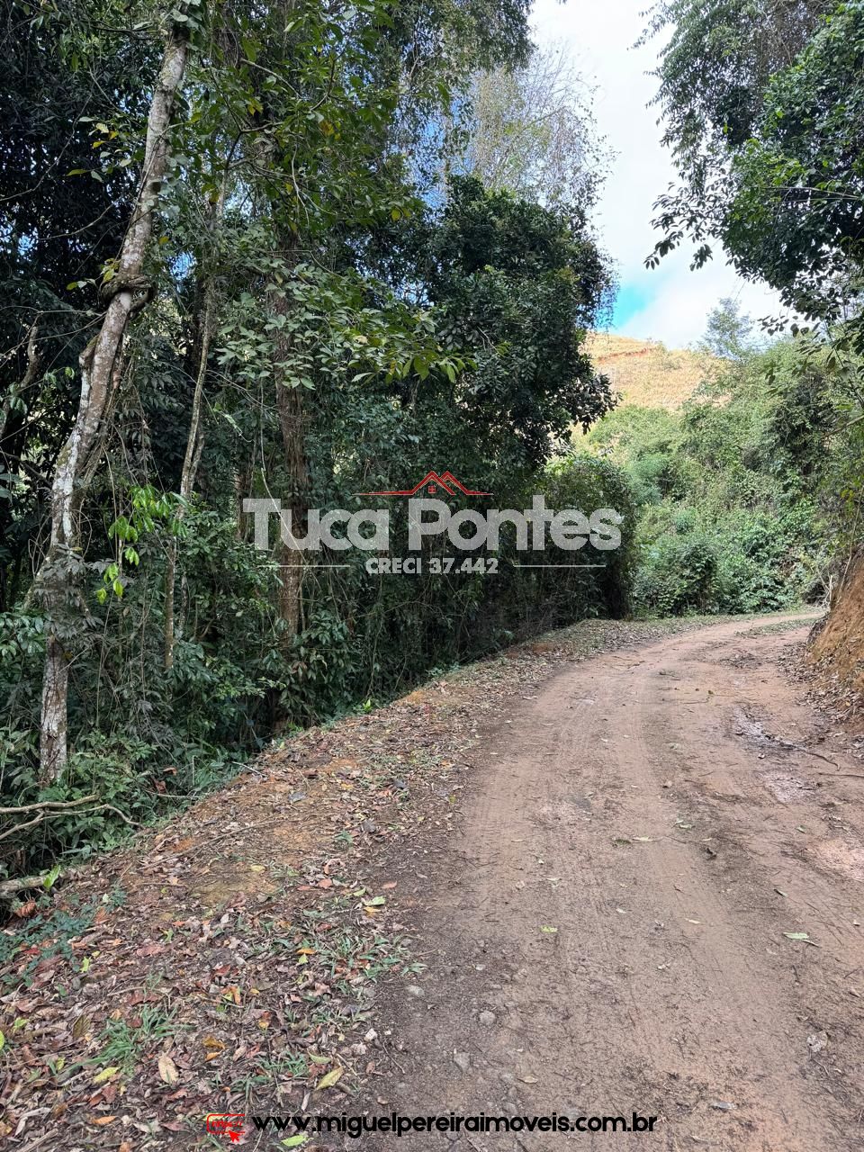 Paraíso ecológico - 15,5 alqueires - Rico em água e mata | Código:S60