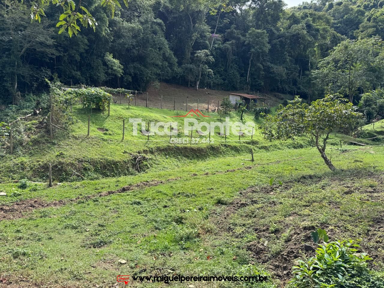 Paraíso ecológico - 15,5 alqueires - Rico em água e mata | Código:S60
