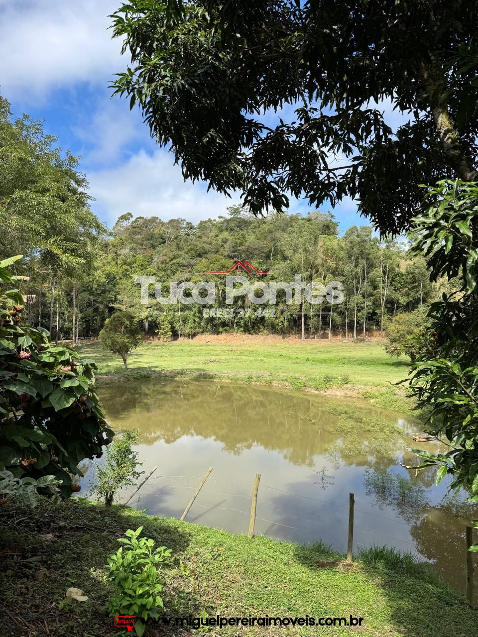 Paraíso ecológico - 15,5 alqueires - Rico em água e mata | Código:S60