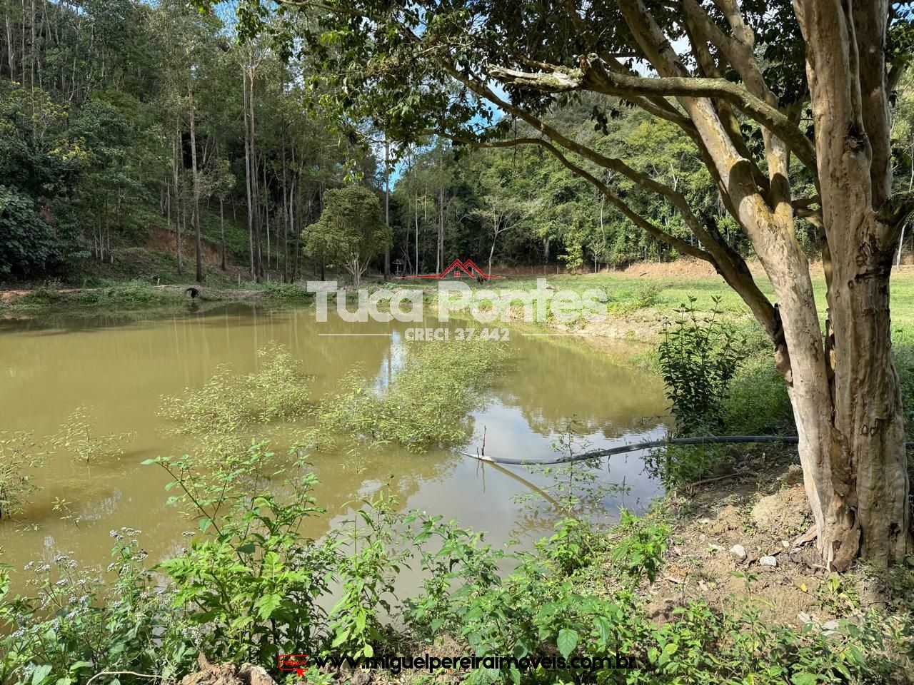 Paraíso ecológico - 15,5 alqueires - Rico em água e mata | Código:S60