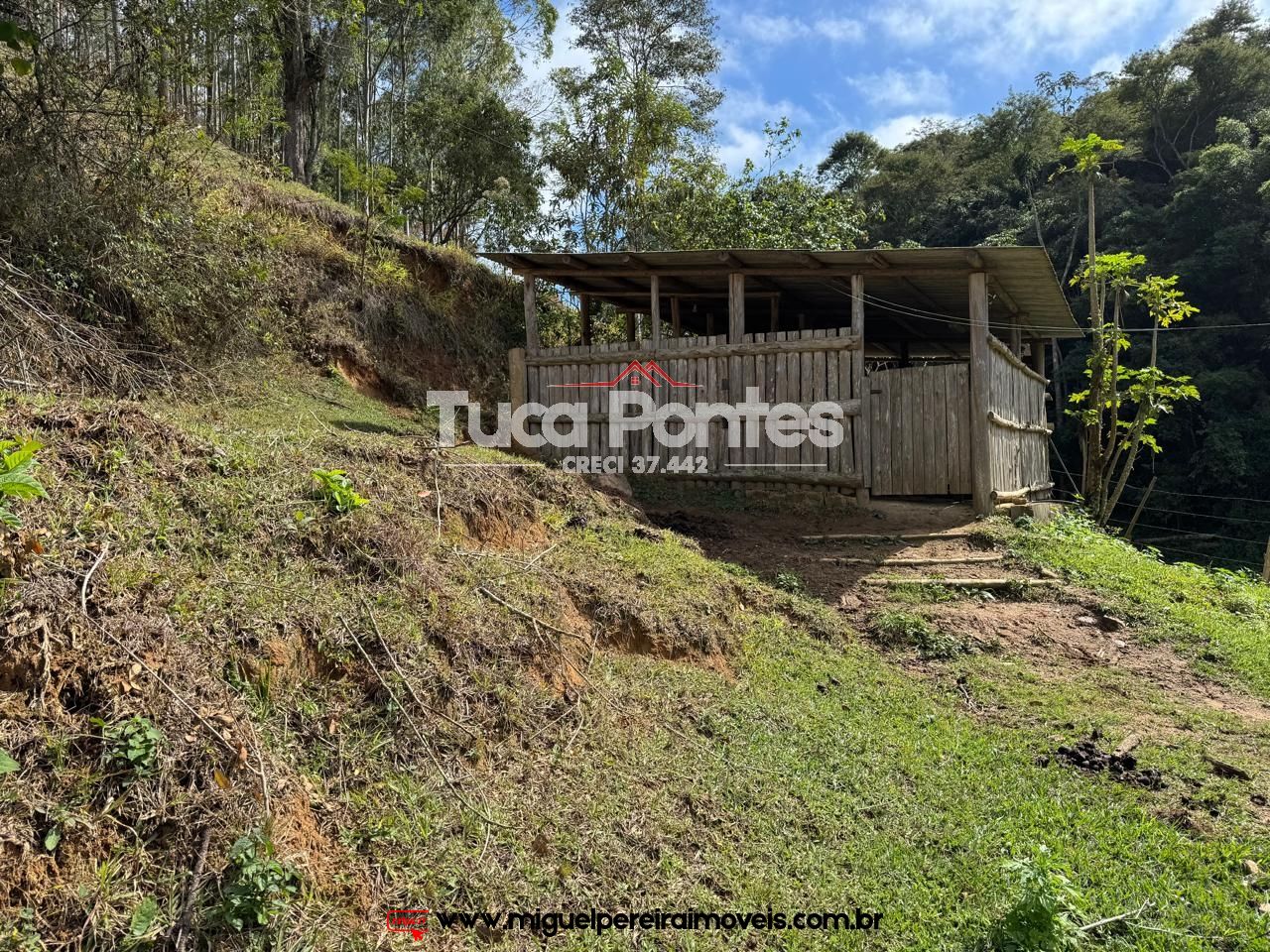 Paraíso ecológico - 15,5 alqueires - Rico em água e mata | Código:S60