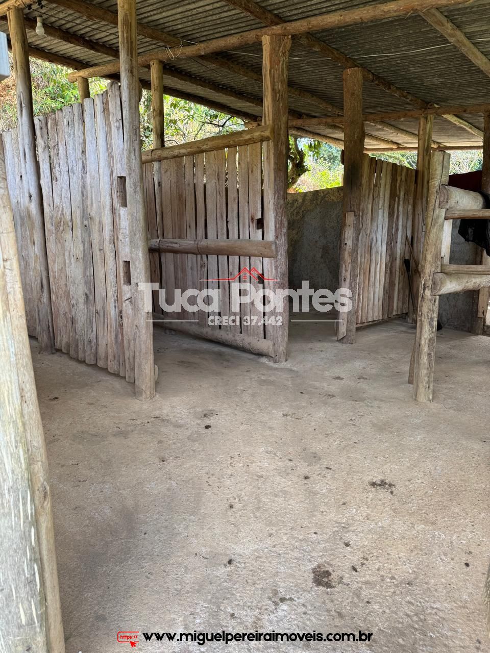 Paraíso ecológico - 15,5 alqueires - Rico em água e mata | Código:S60
