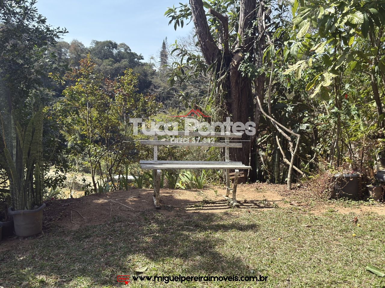 Lindíssima vista - Para aprecidores da natureza | Código:C16
