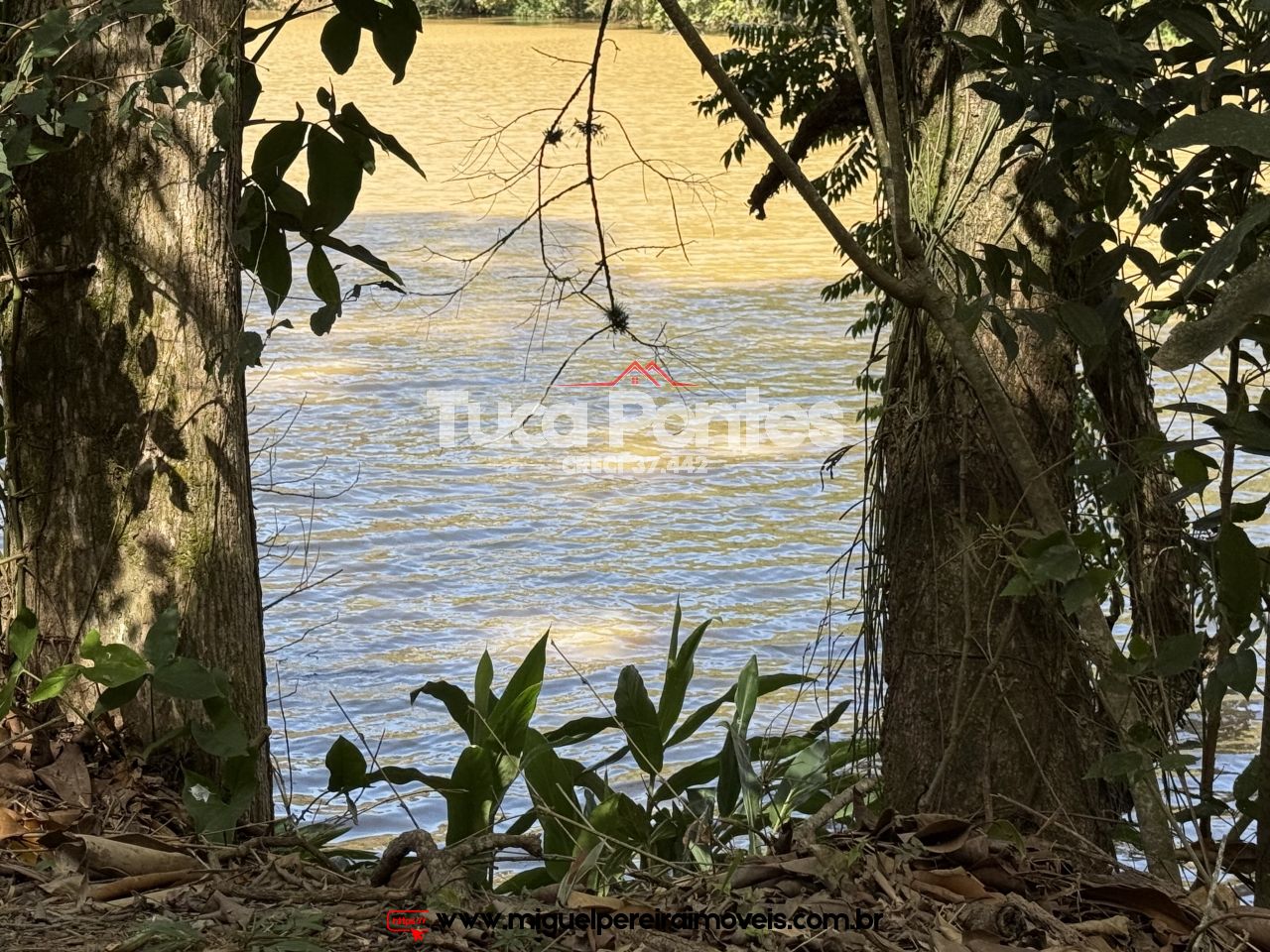 Lindíssima vista - Para aprecidores da natureza | Código:C16