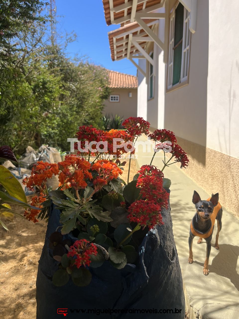 Em terreno plano e pequeno  - Casa super aconchegante  | Código:C59