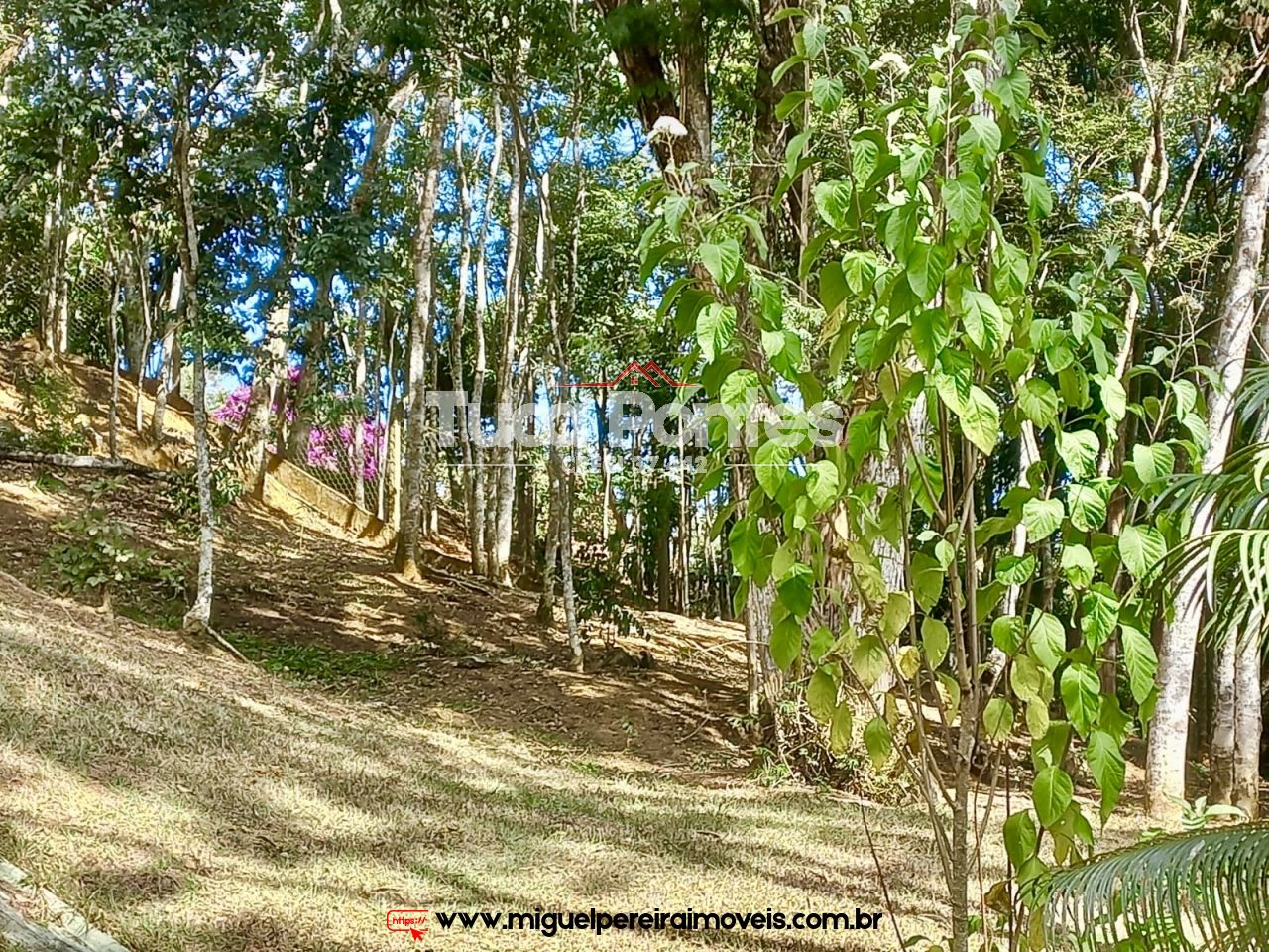 Chácara belíssima - Rodeada de verde | Código:C85